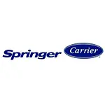 logo springer